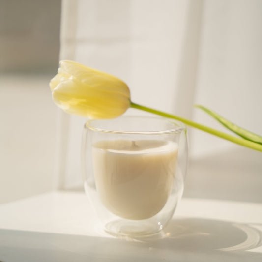 666 Dijon 市集香氛蠟燭-清新果本草木手工精油大豆蠟