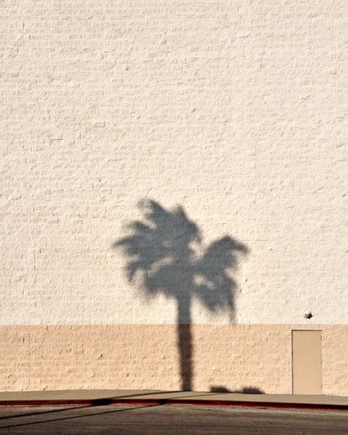 關於 BASK IN THE SUN 沐陽所 — 你的生活療癒角落